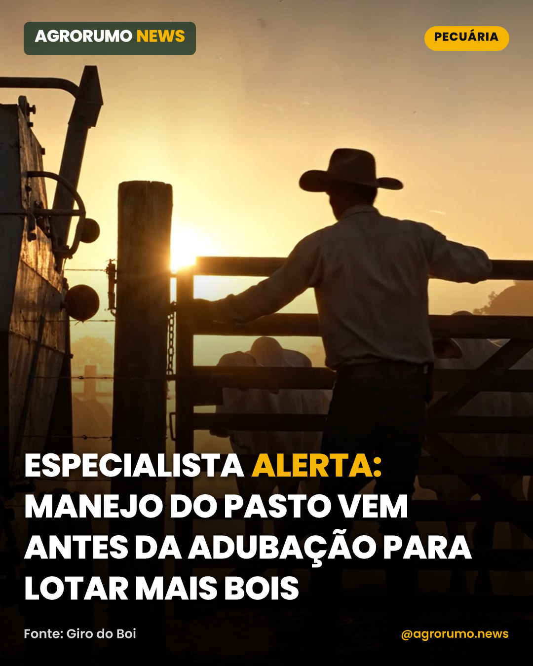 Especialista alerta: manejo do pasto vem antes da adubação para lotar mais bois