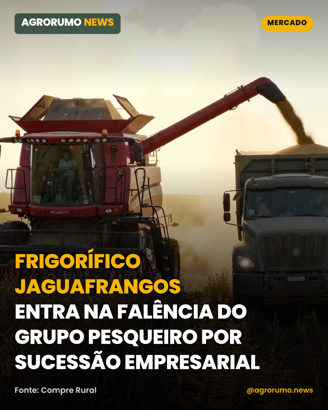 Frigorífico Jaguafrangos entra na falência do Grupo Pesqueiro por sucessão empresarial