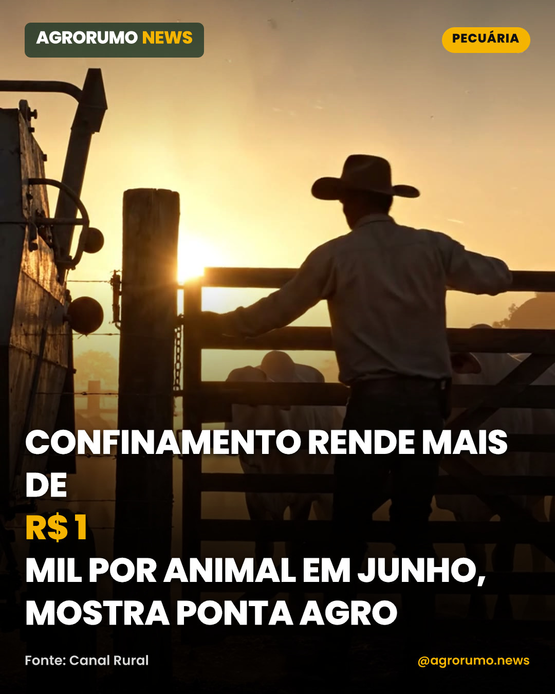 Confinamento rende mais de R$ 1 mil por animal em junho, mostra Ponta Agro