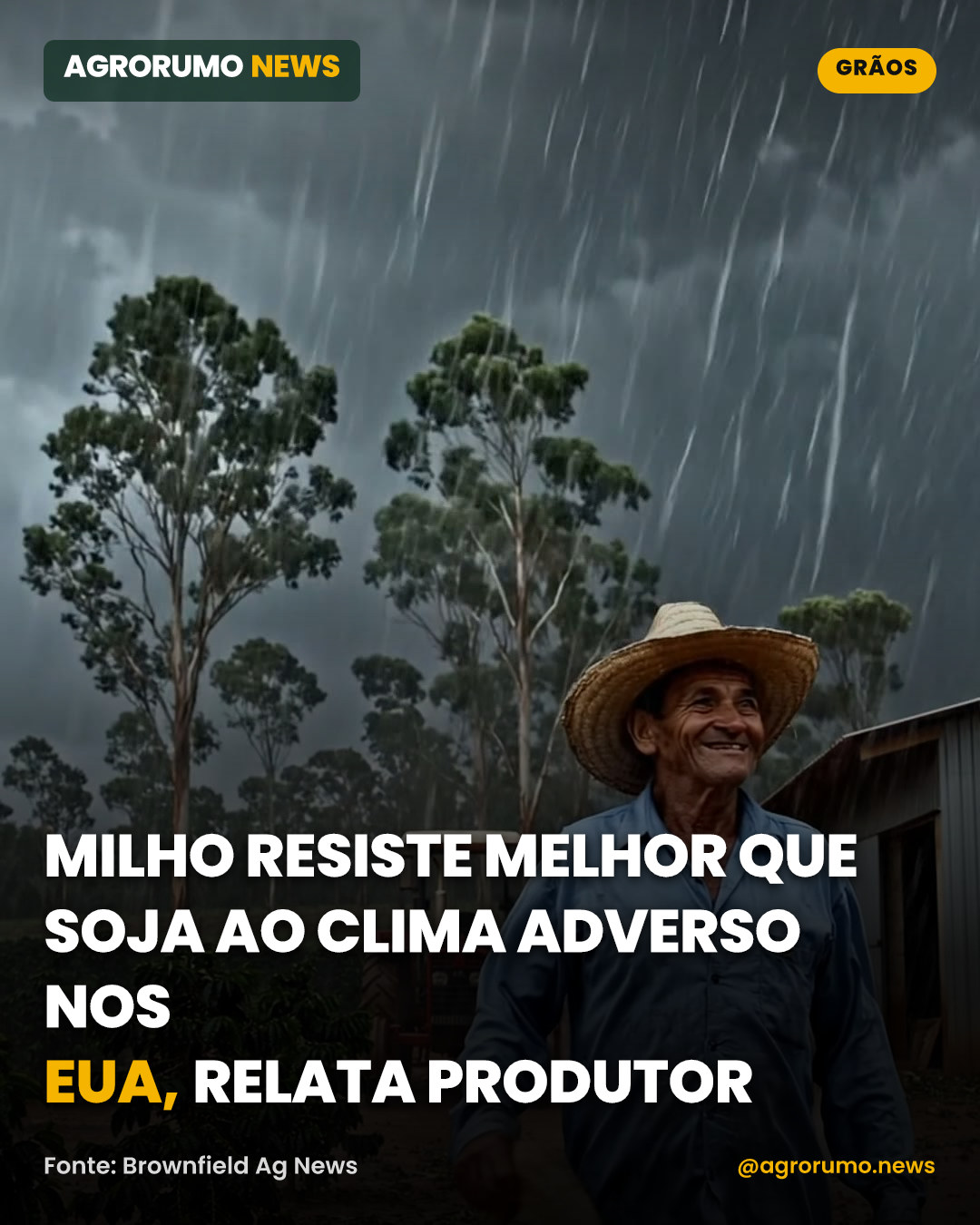 Milho resiste melhor que soja ao clima adverso nos EUA, relata produtor