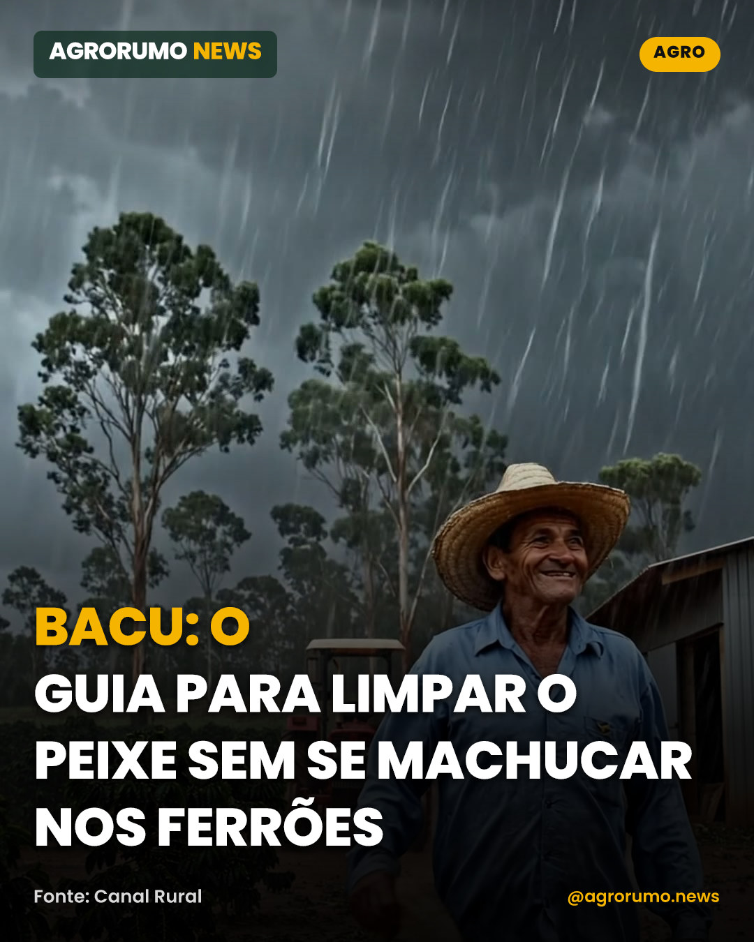 Bacu: o guia para limpar o peixe sem se machucar nos ferrões