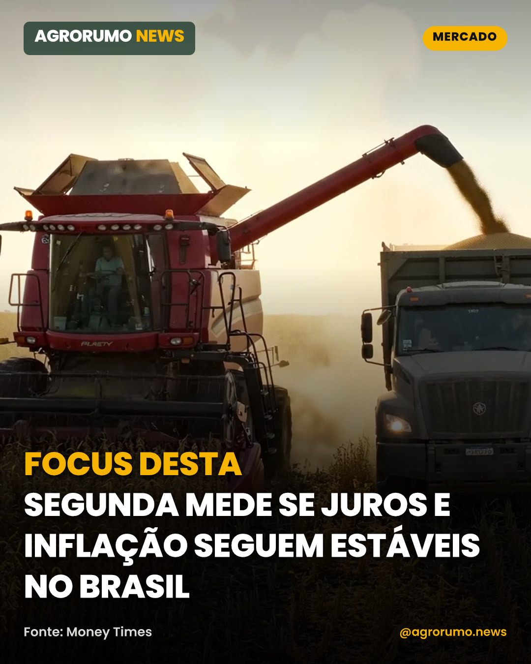 Focus desta segunda mede se juros e inflação seguem estáveis no Brasil