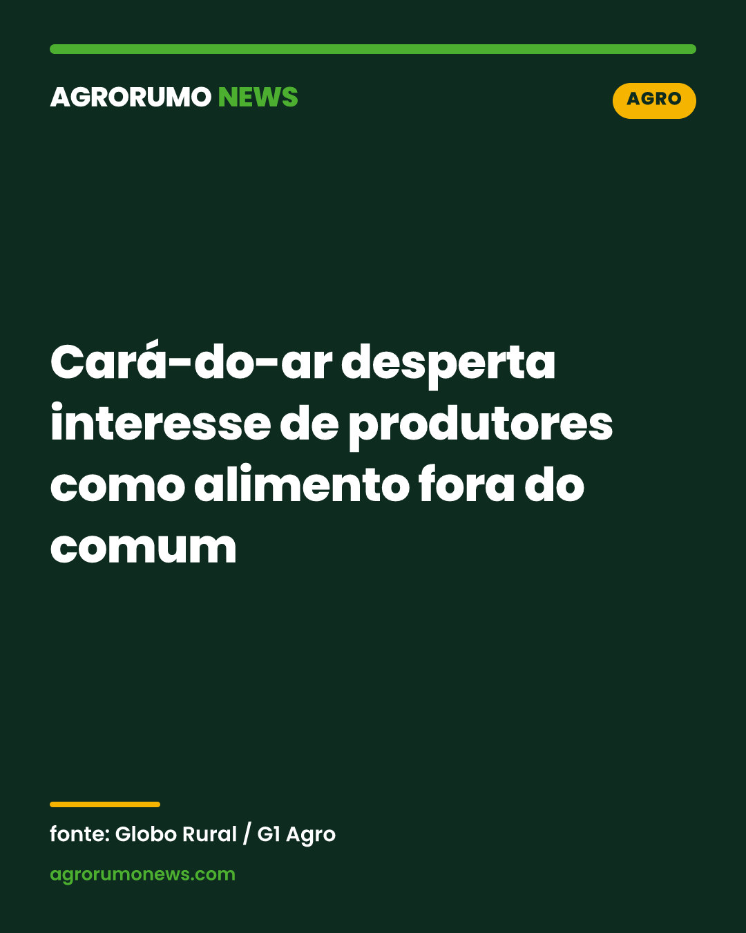 Cará-do-ar desperta interesse de produtores como alimento fora do comum