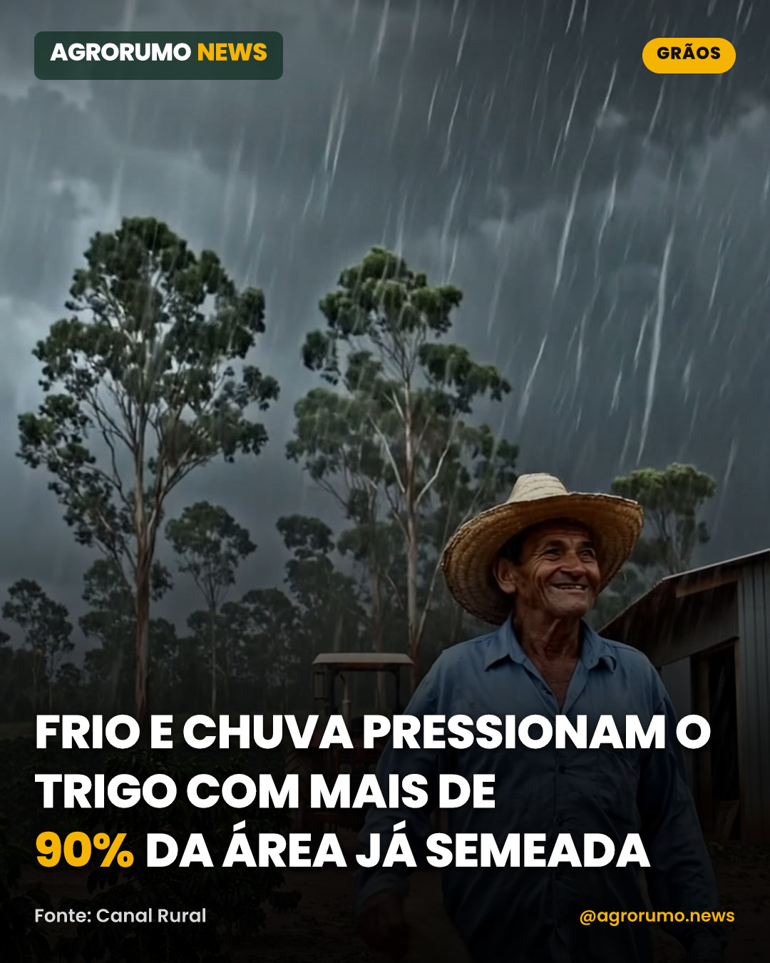 Frio e chuva pressionam o trigo com mais de 90% da área já semeada