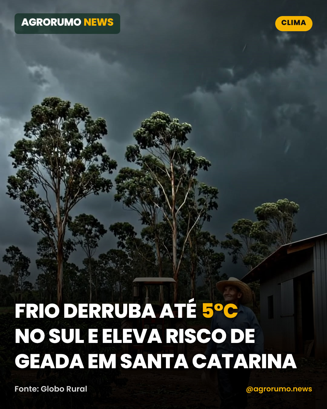 Frio derruba até 5°C no Sul e eleva risco de geada em Santa Catarina