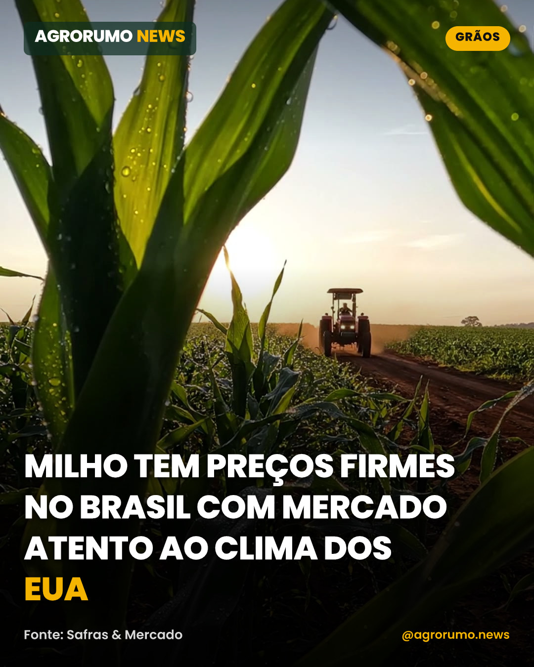 Milho tem preços firmes no Brasil com mercado atento ao clima dos EUA