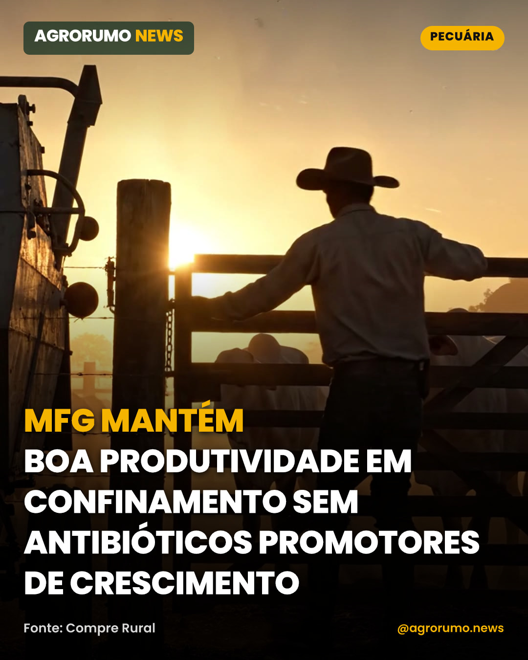 MFG mantém boa produtividade em confinamento sem antibióticos promotores de crescimento