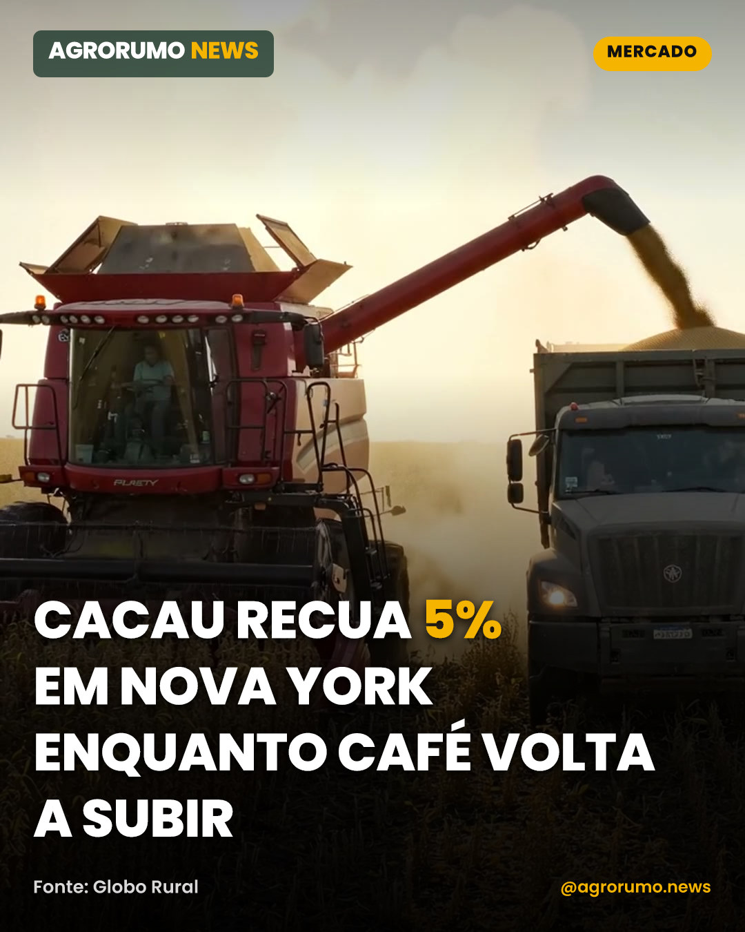 Cacau recua 5% em Nova York enquanto café volta a subir