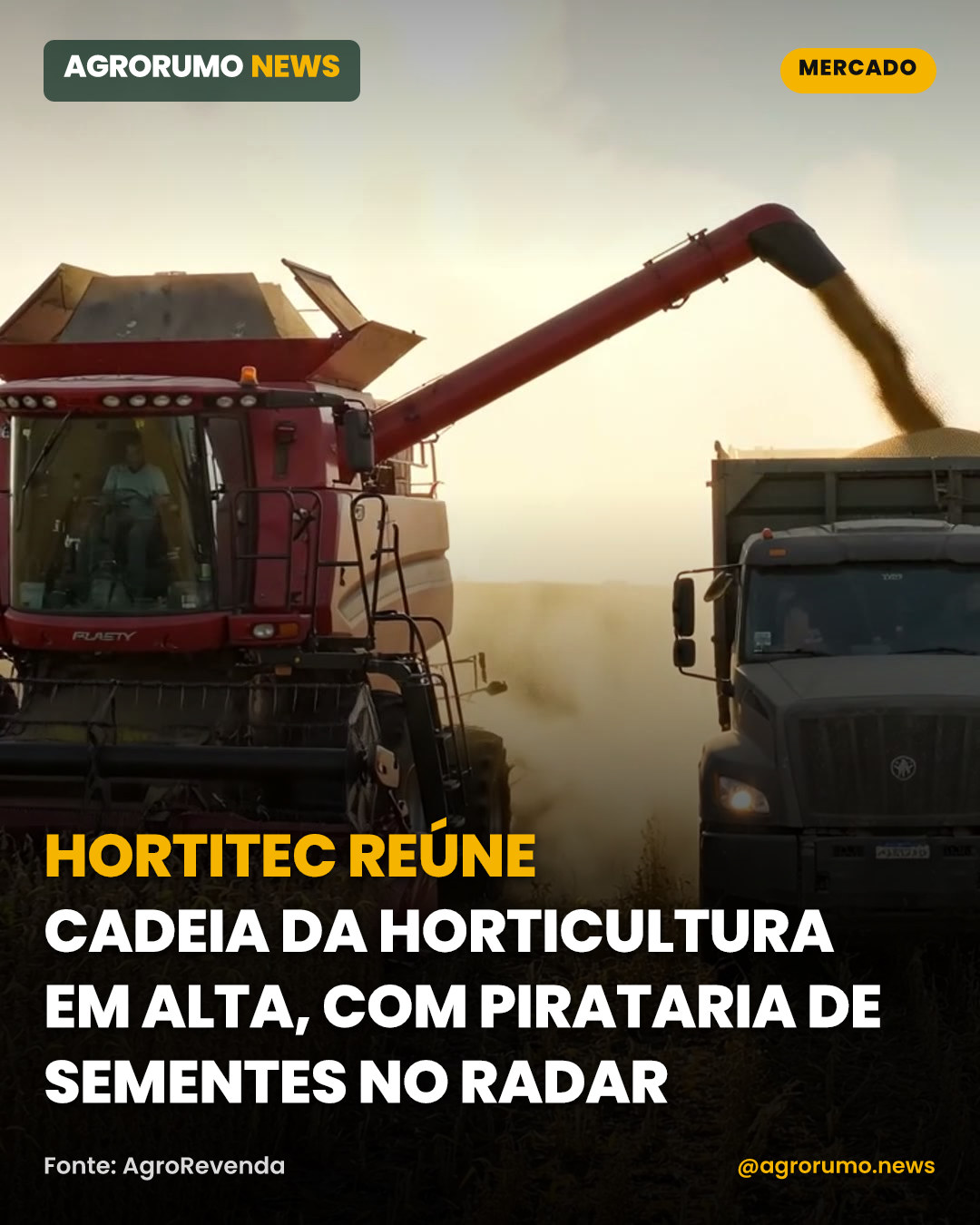 Hortitec reúne cadeia da horticultura em alta, com pirataria de sementes no radar