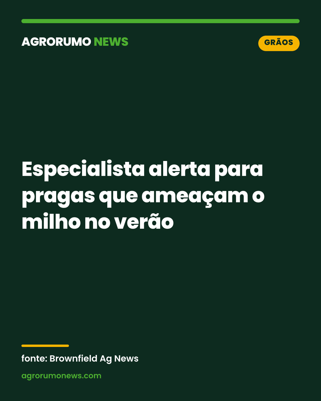 Especialista alerta para pragas que ameaçam o milho no verão