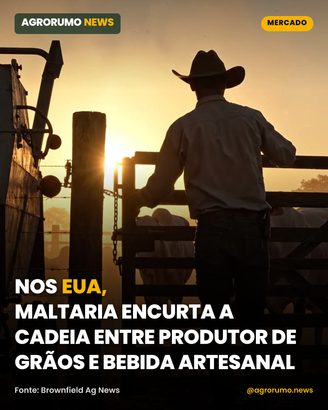 Nos EUA, maltaria encurta a cadeia entre produtor de grãos e bebida artesanal