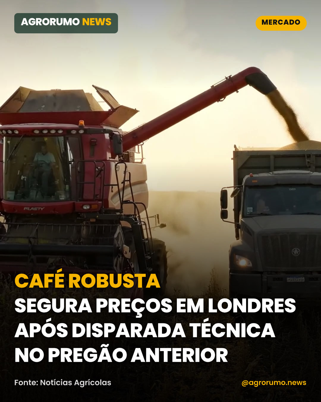 Café robusta segura preços em Londres após disparada técnica no pregão anterior