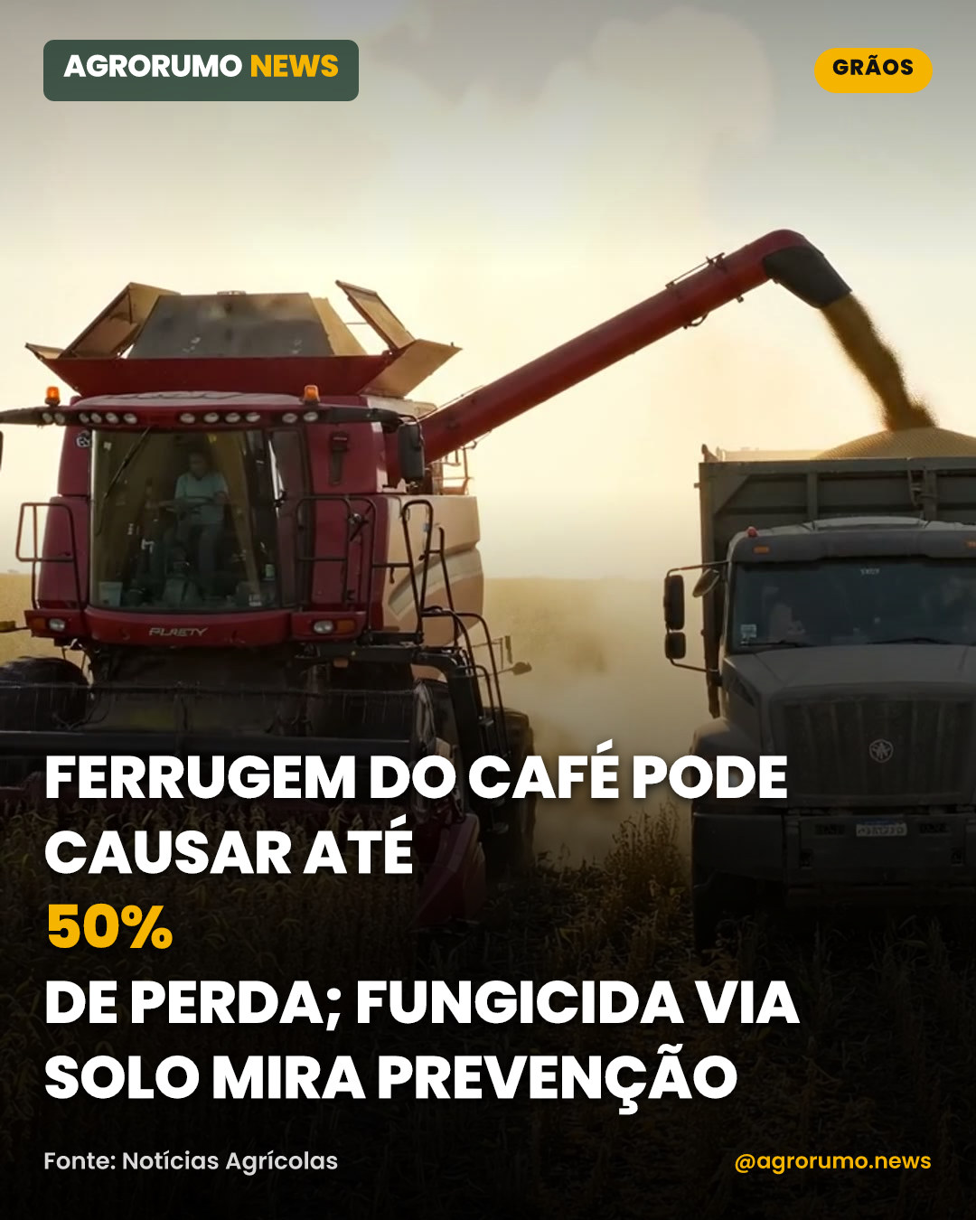 Ferrugem do café pode causar até 50% de perda; fungicida via solo mira prevenção