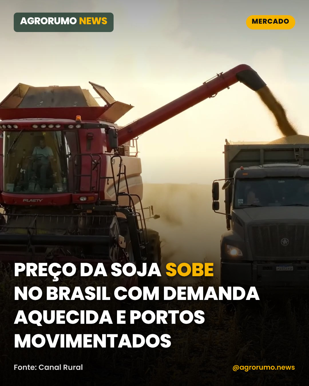 Preço da soja sobe no Brasil com demanda aquecida e portos movimentados