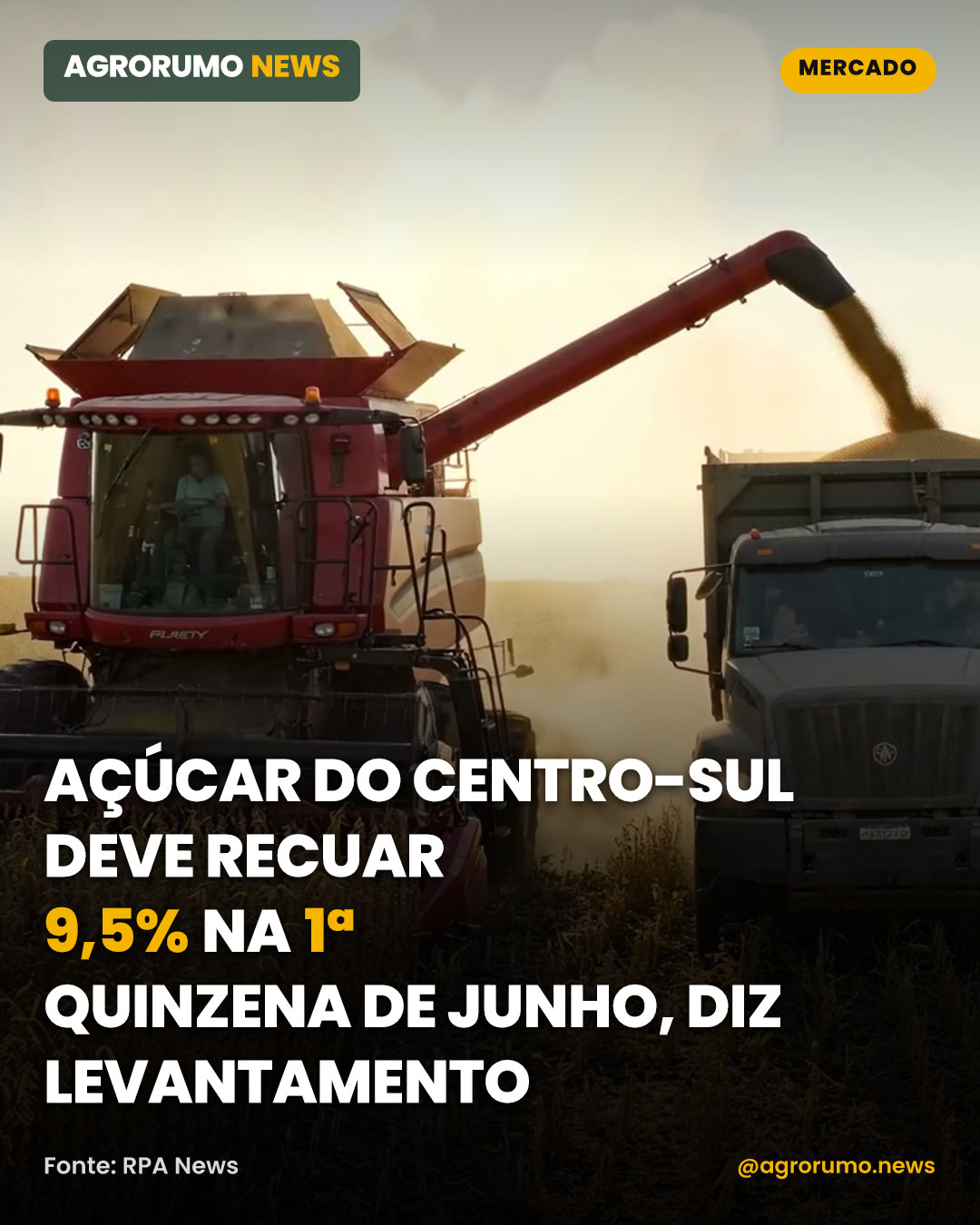 Açúcar do Centro-Sul deve recuar 9,5% na 1ª quinzena de junho, diz levantamento