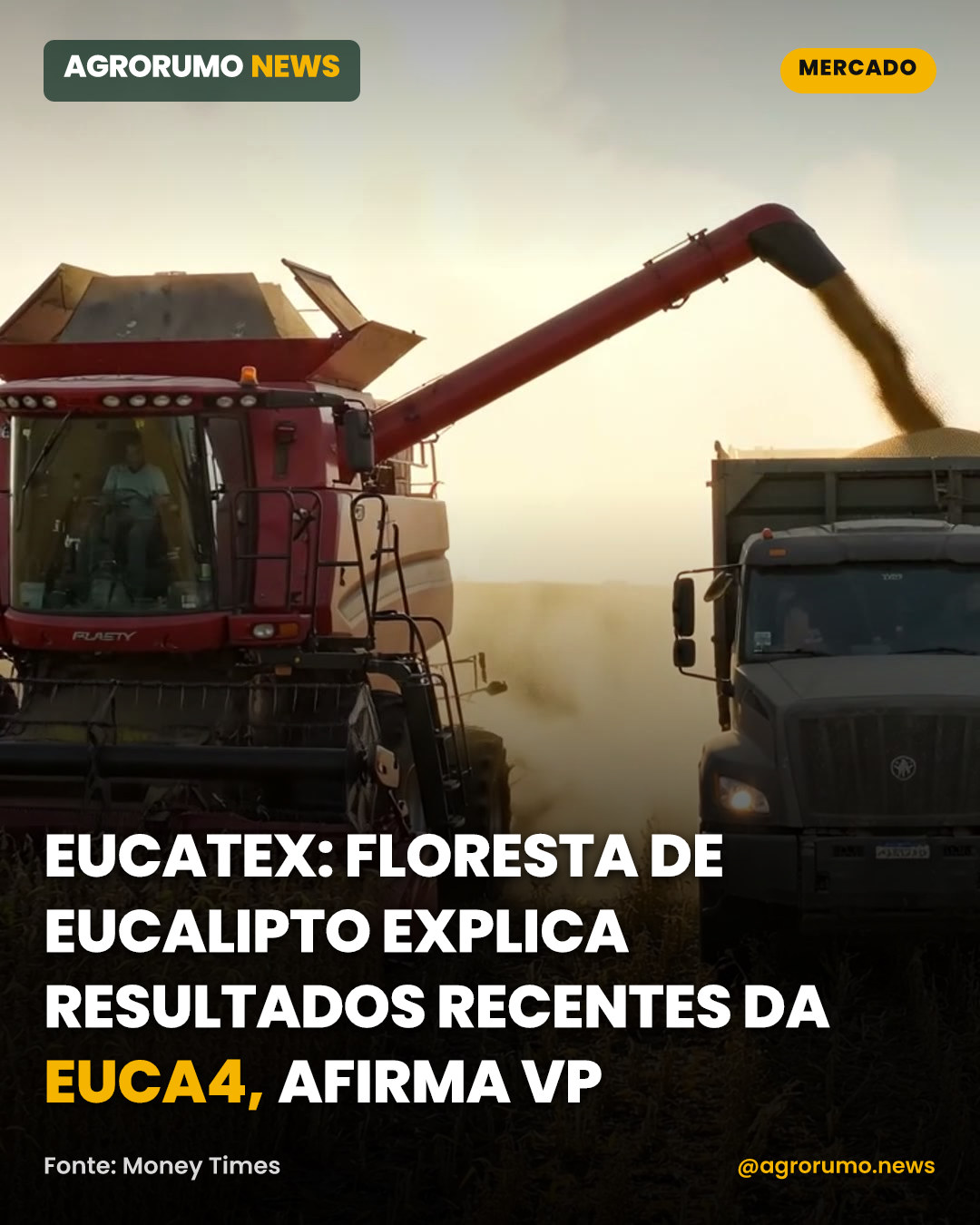 Eucatex: floresta de eucalipto explica resultados recentes da EUCA4, afirma VP