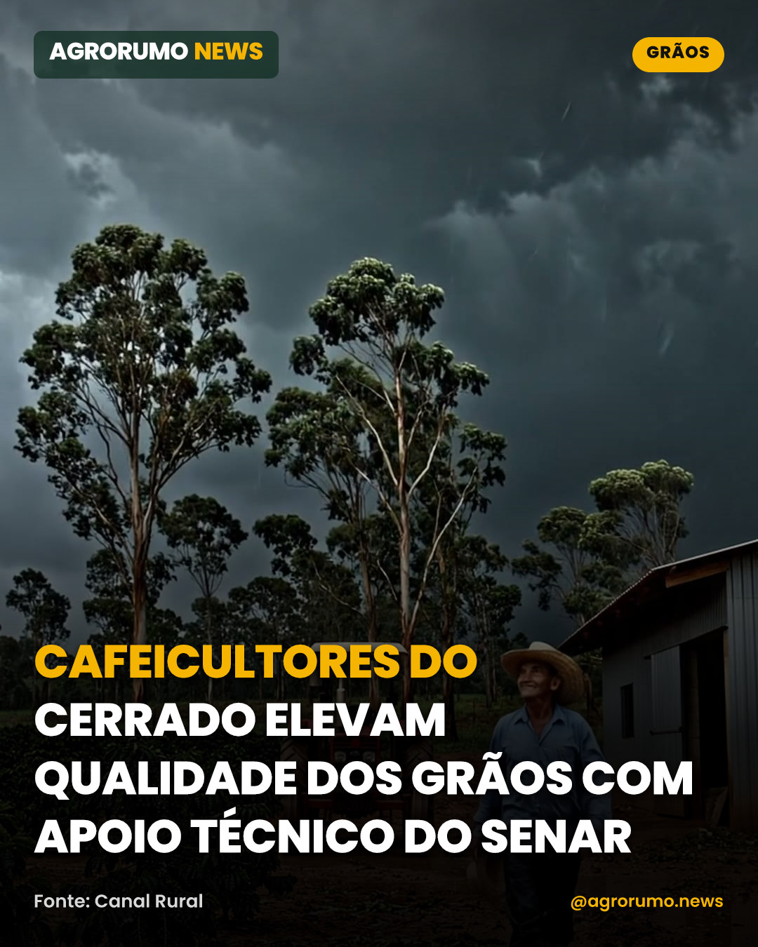 Cafeicultores do Cerrado elevam qualidade dos grãos com apoio técnico do SENAR