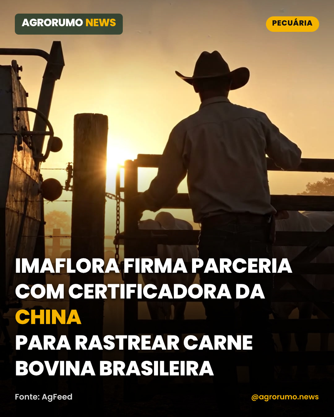 Imaflora firma parceria com certificadora da China para rastrear carne bovina brasileira