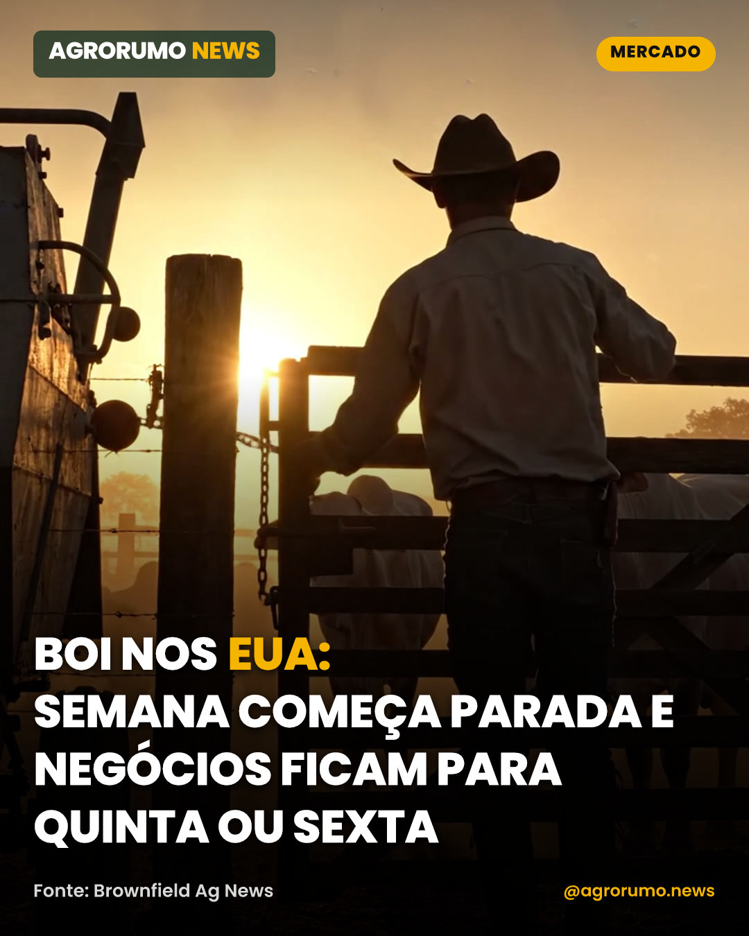 Boi nos EUA: semana começa parada e negócios ficam para quinta ou sexta