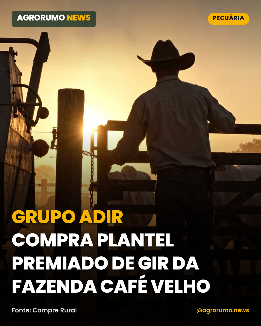 Grupo Adir compra plantel premiado de Gir da Fazenda Café Velho