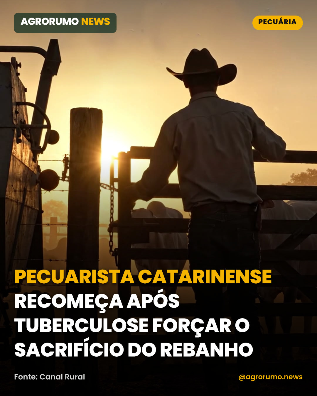 Pecuarista catarinense recomeça após tuberculose forçar o sacrifício do rebanho