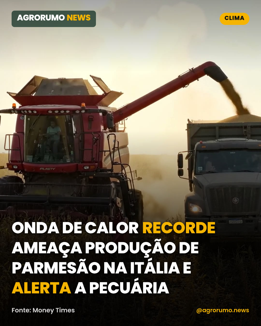 Onda de calor recorde ameaça produção de parmesão na Itália e alerta a pecuária