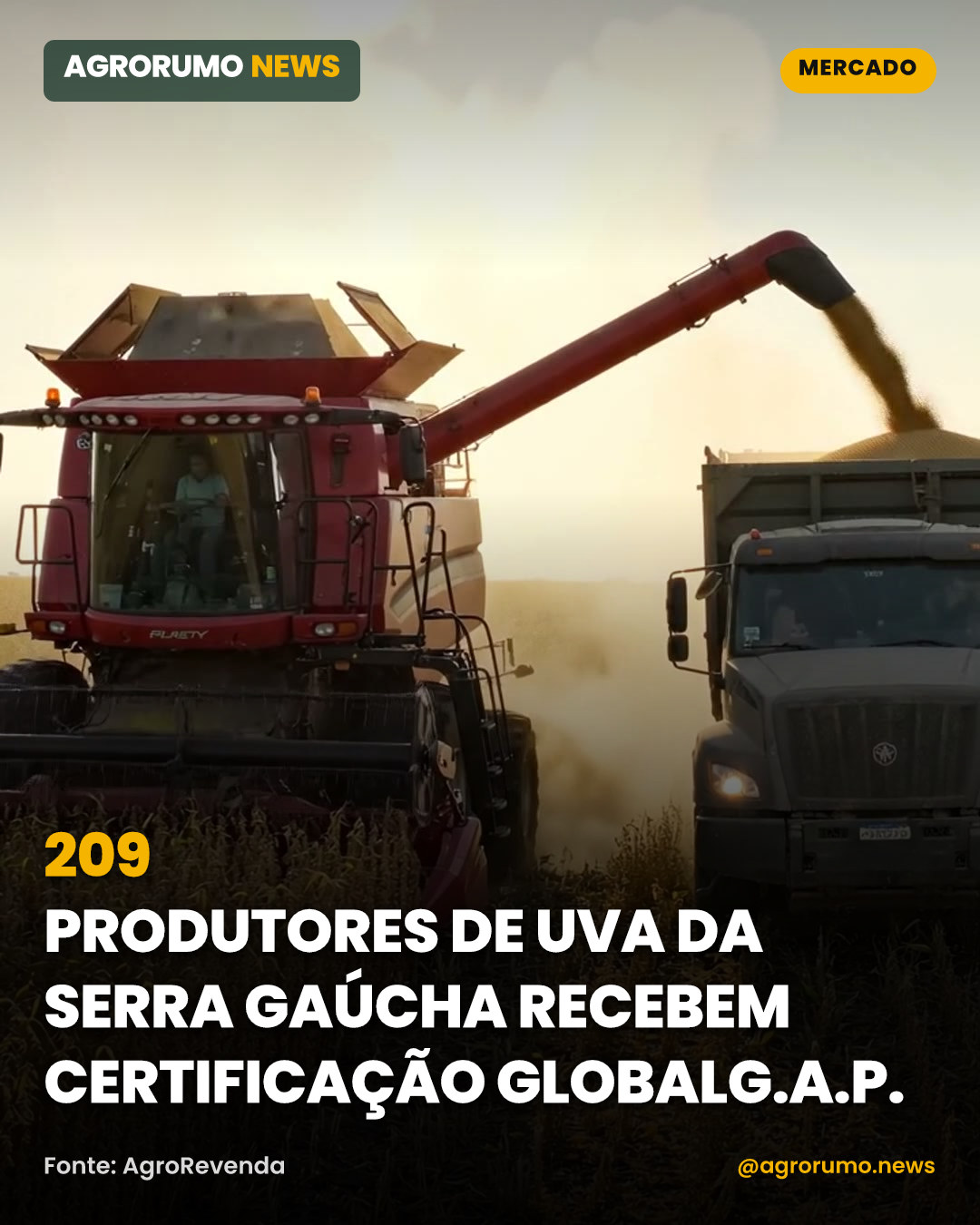 209 produtores de uva da Serra Gaúcha recebem certificação GlobalG.A.P.