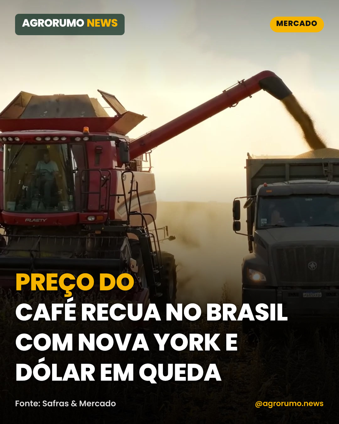 Preço do café recua no Brasil com Nova York e dólar em queda