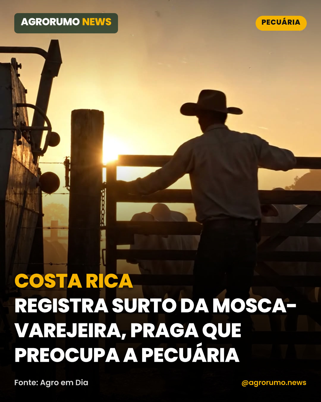 Costa Rica registra surto da mosca-varejeira, praga que preocupa a pecuária