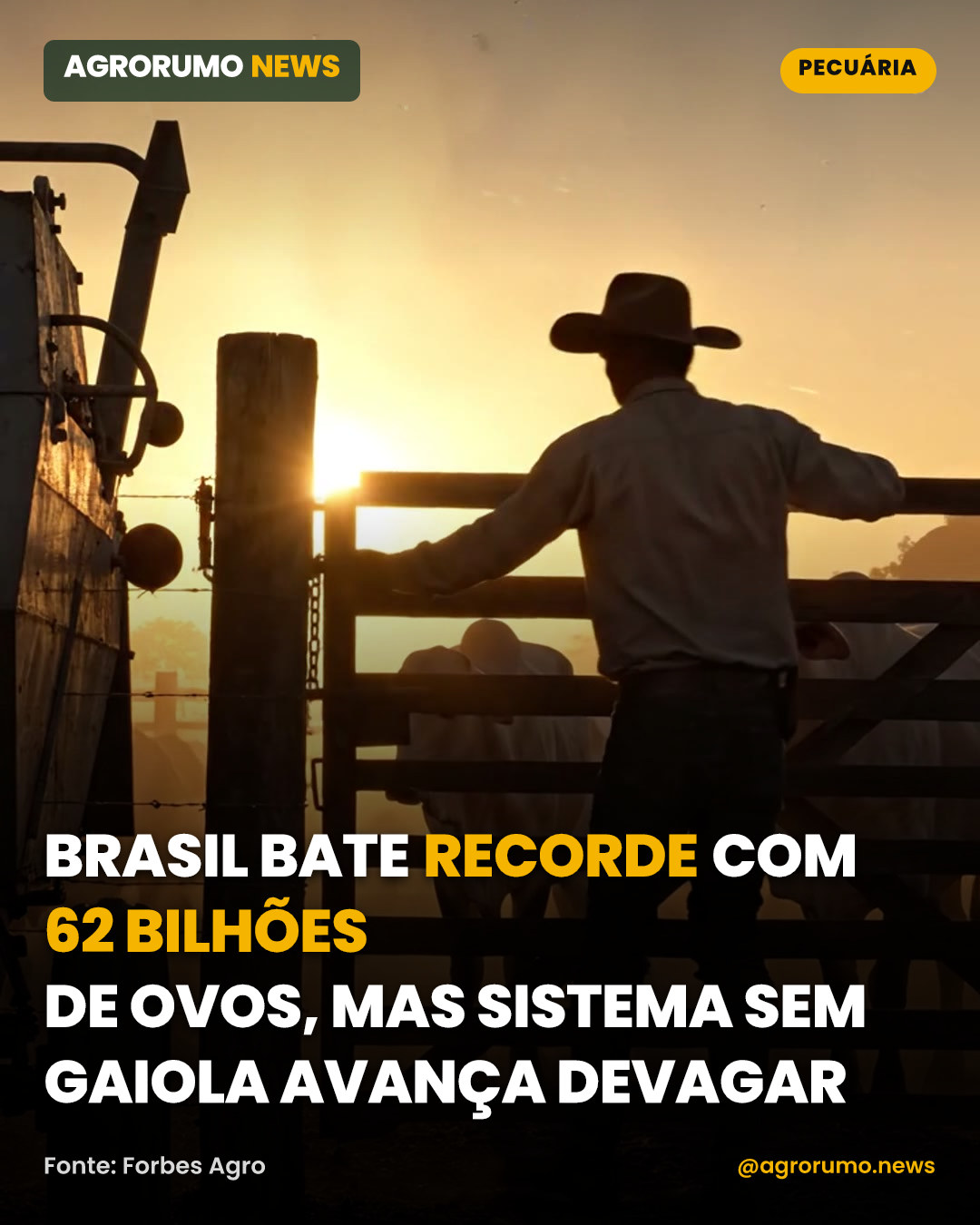 Brasil bate recorde com 62 bilhões de ovos, mas sistema sem gaiola avança devagar