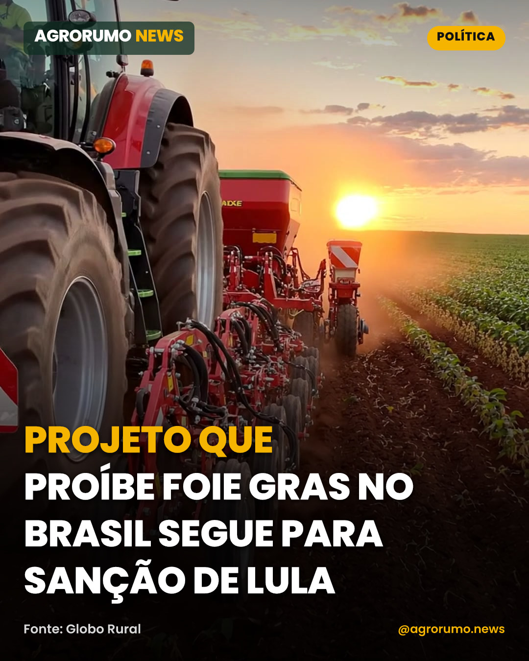 Projeto que proíbe foie gras no Brasil segue para sanção de Lula