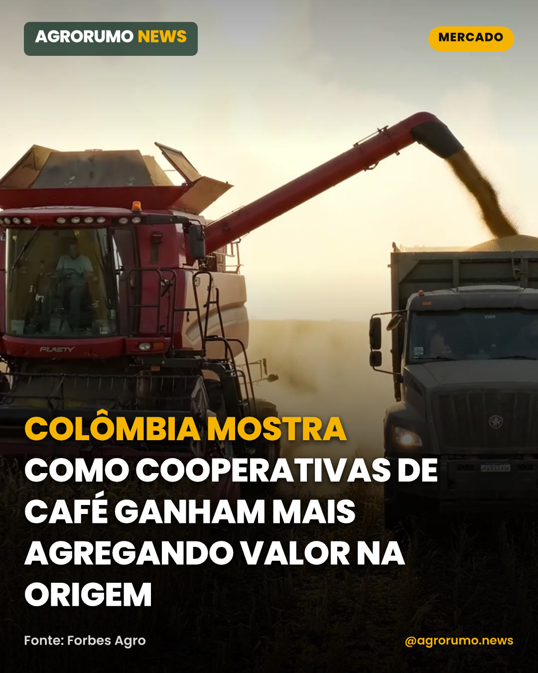 Colômbia mostra como cooperativas de café ganham mais agregando valor na origem