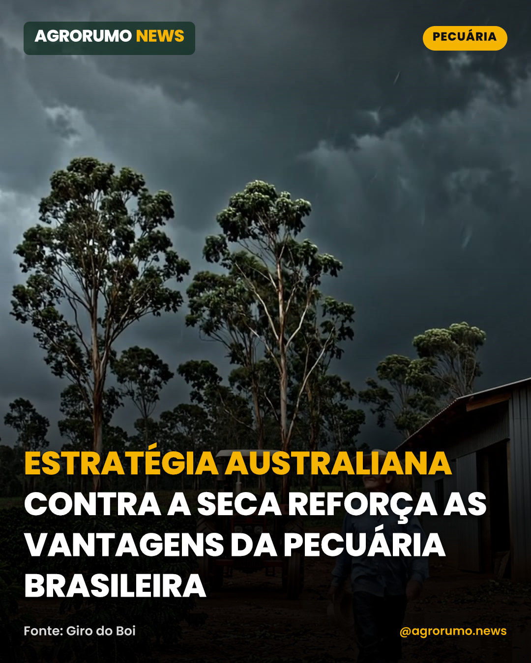 Estratégia australiana contra a seca reforça as vantagens da pecuária brasileira