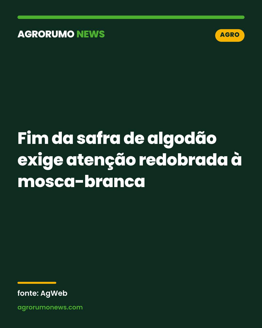 Fim da safra de algodão exige atenção redobrada à mosca-branca
