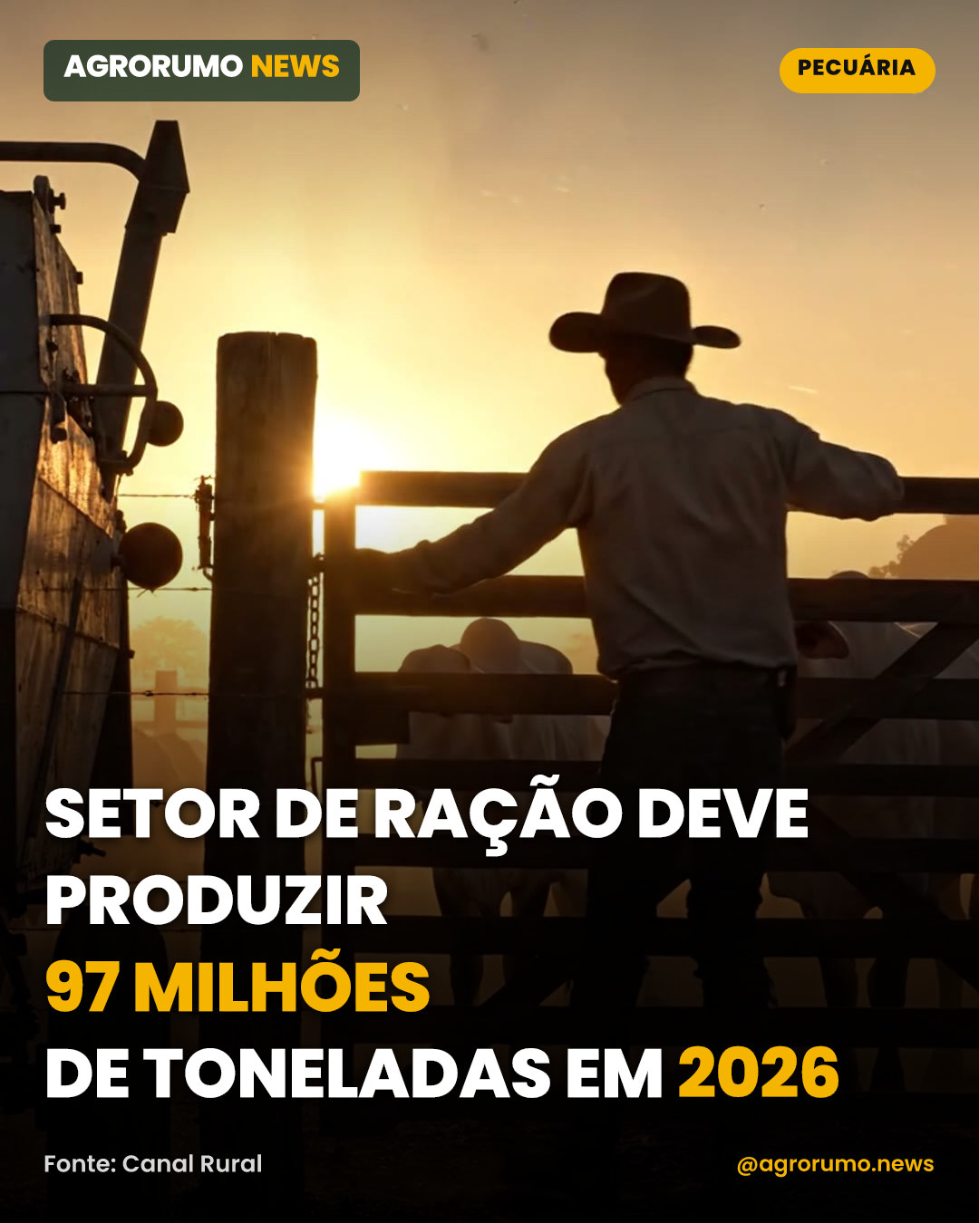 Setor de ração deve produzir 97 milhões de toneladas em 2026