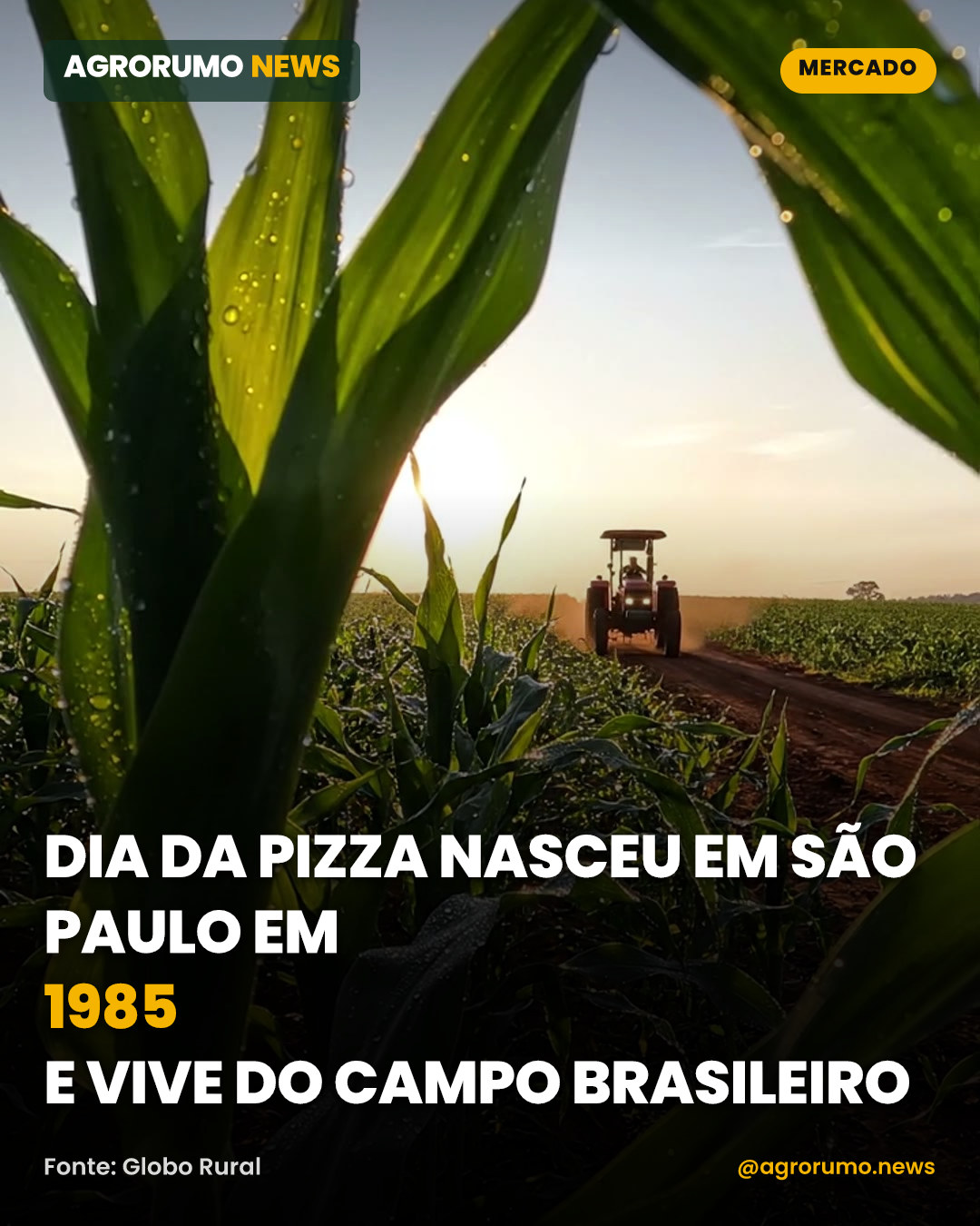 Dia da Pizza nasceu em São Paulo em 1985 e vive do campo brasileiro