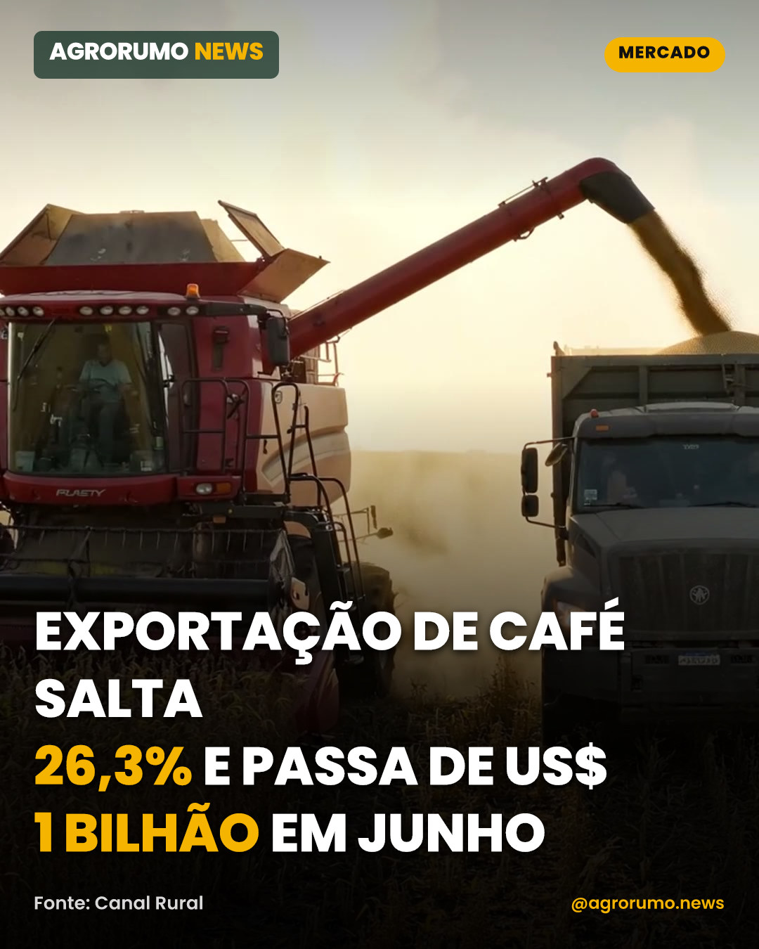 Exportação de café salta 26,3% e passa de US$ 1 bilhão em junho
