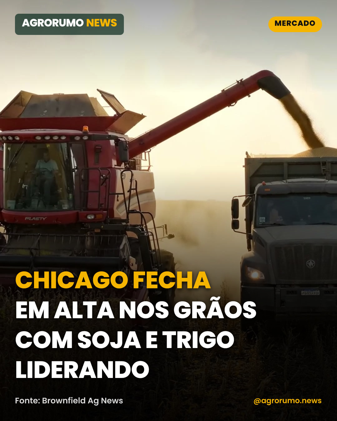 Chicago fecha em alta nos grãos com soja e trigo liderando