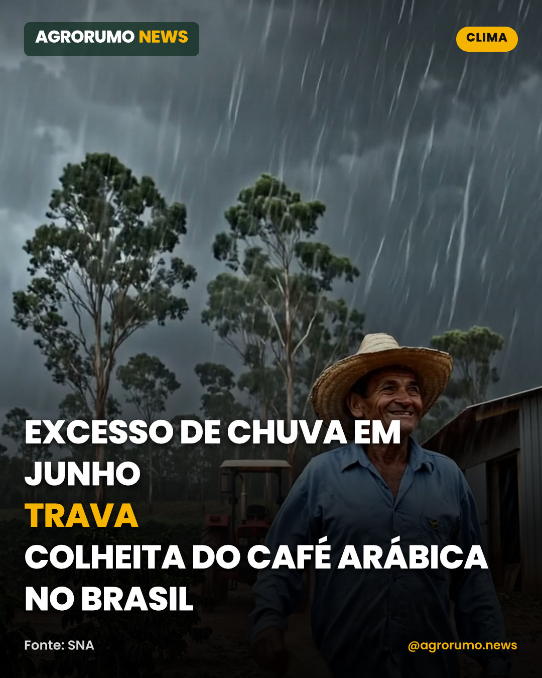 Excesso de chuva em junho trava colheita do café arábica no Brasil