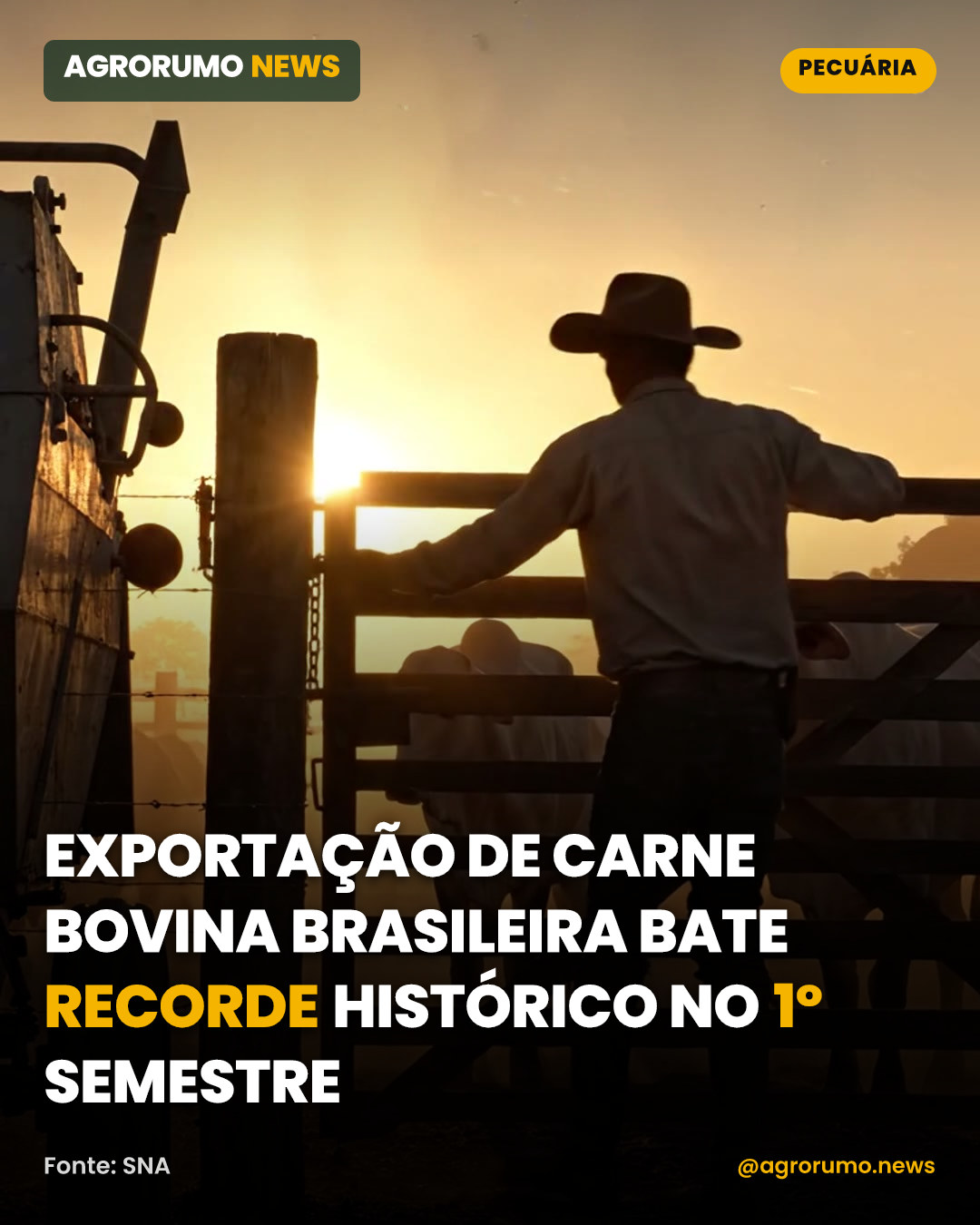 Exportação de carne bovina brasileira bate recorde histórico no 1º semestre