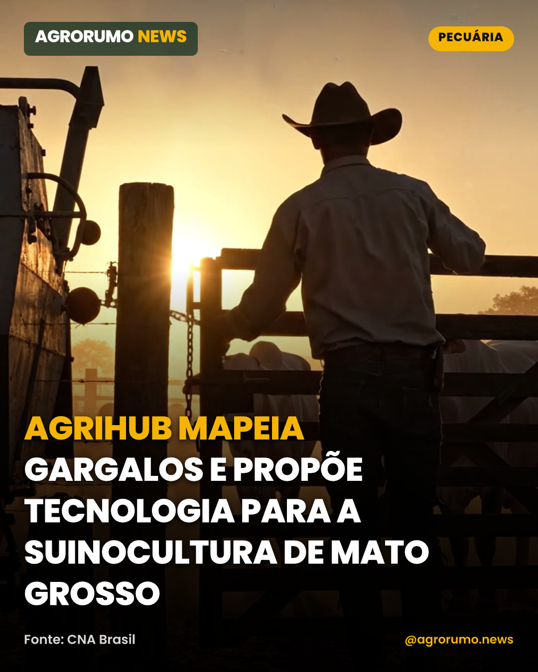 AgriHub mapeia gargalos e propõe tecnologia para a suinocultura de Mato Grosso