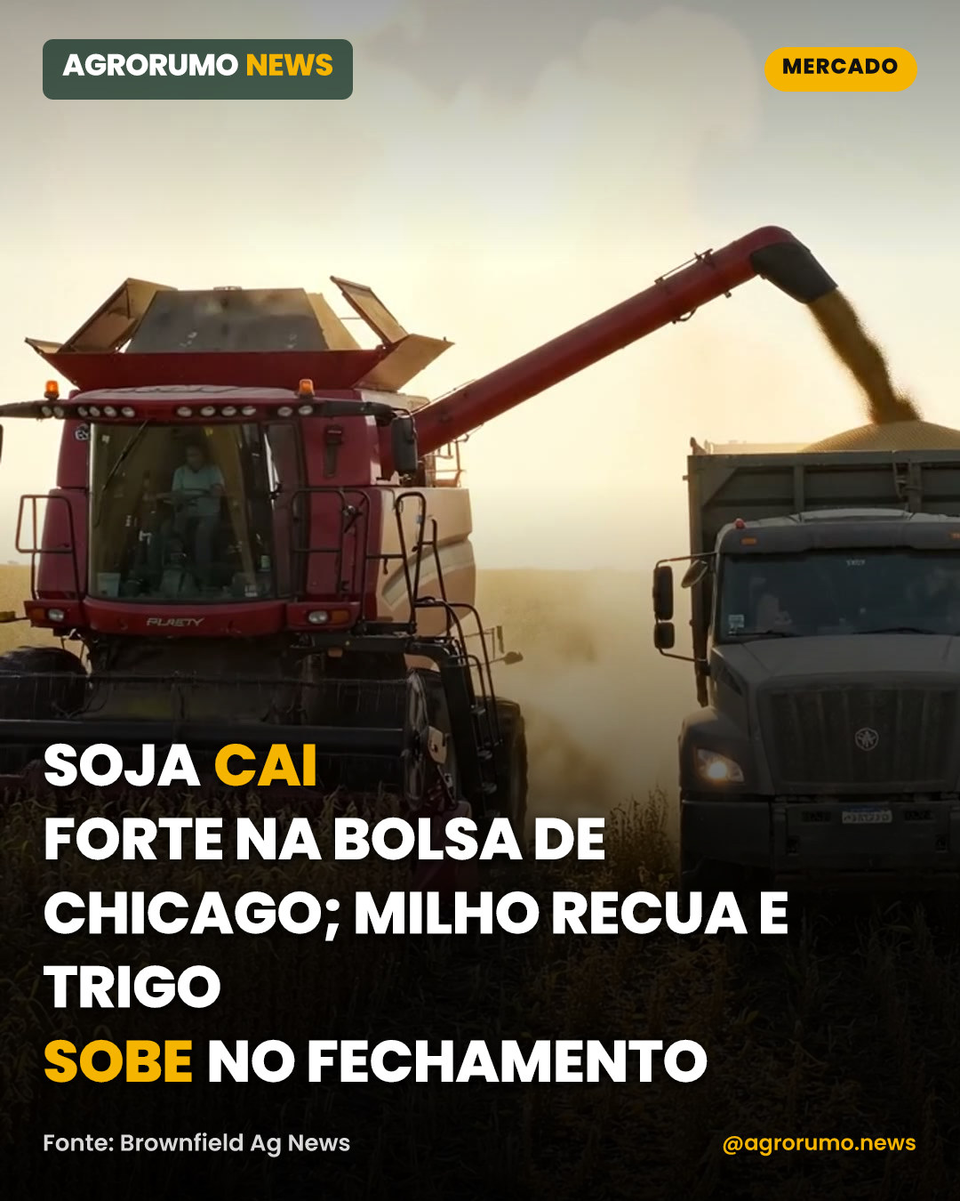 Soja cai forte na Bolsa de Chicago; milho recua e trigo sobe no fechamento