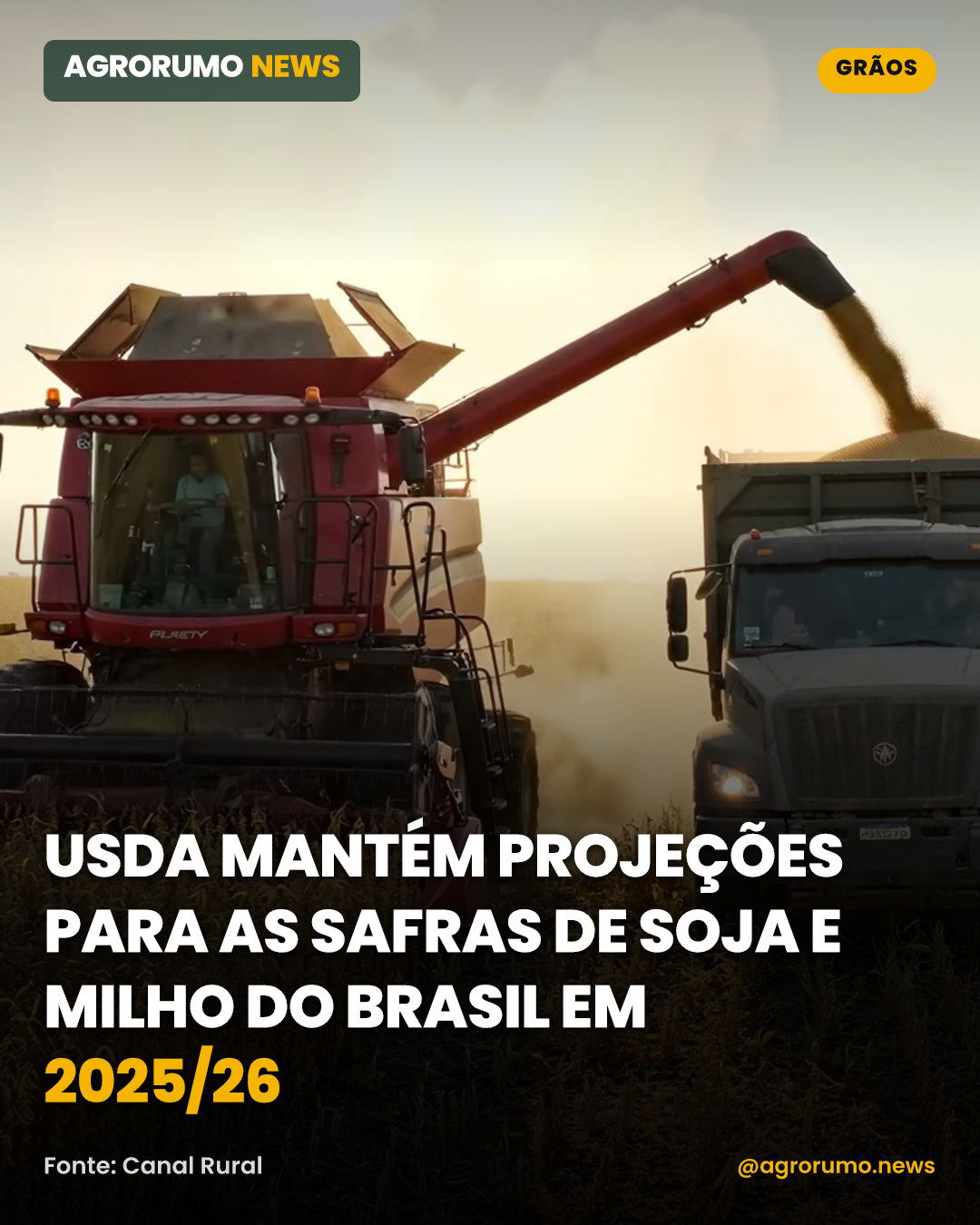 USDA mantém projeções para as safras de soja e milho do Brasil em 2025/26