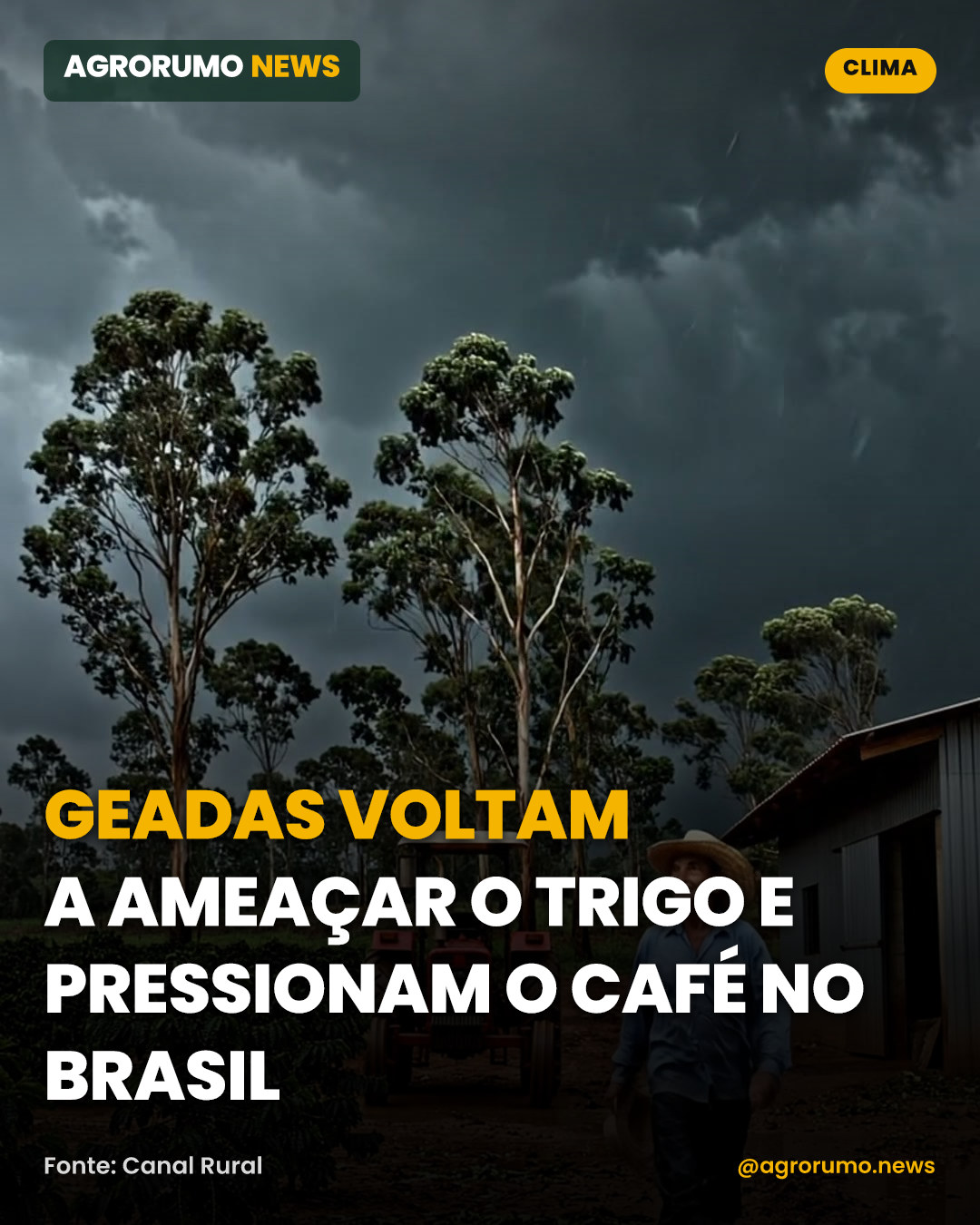 Geadas voltam a ameaçar o trigo e pressionam o café no Brasil