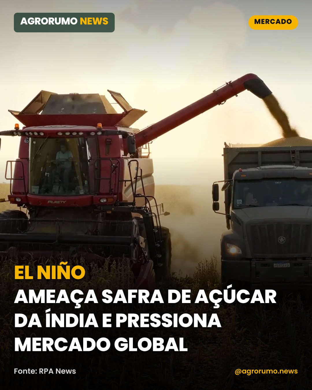 El Niño ameaça safra de açúcar da Índia e pressiona mercado global