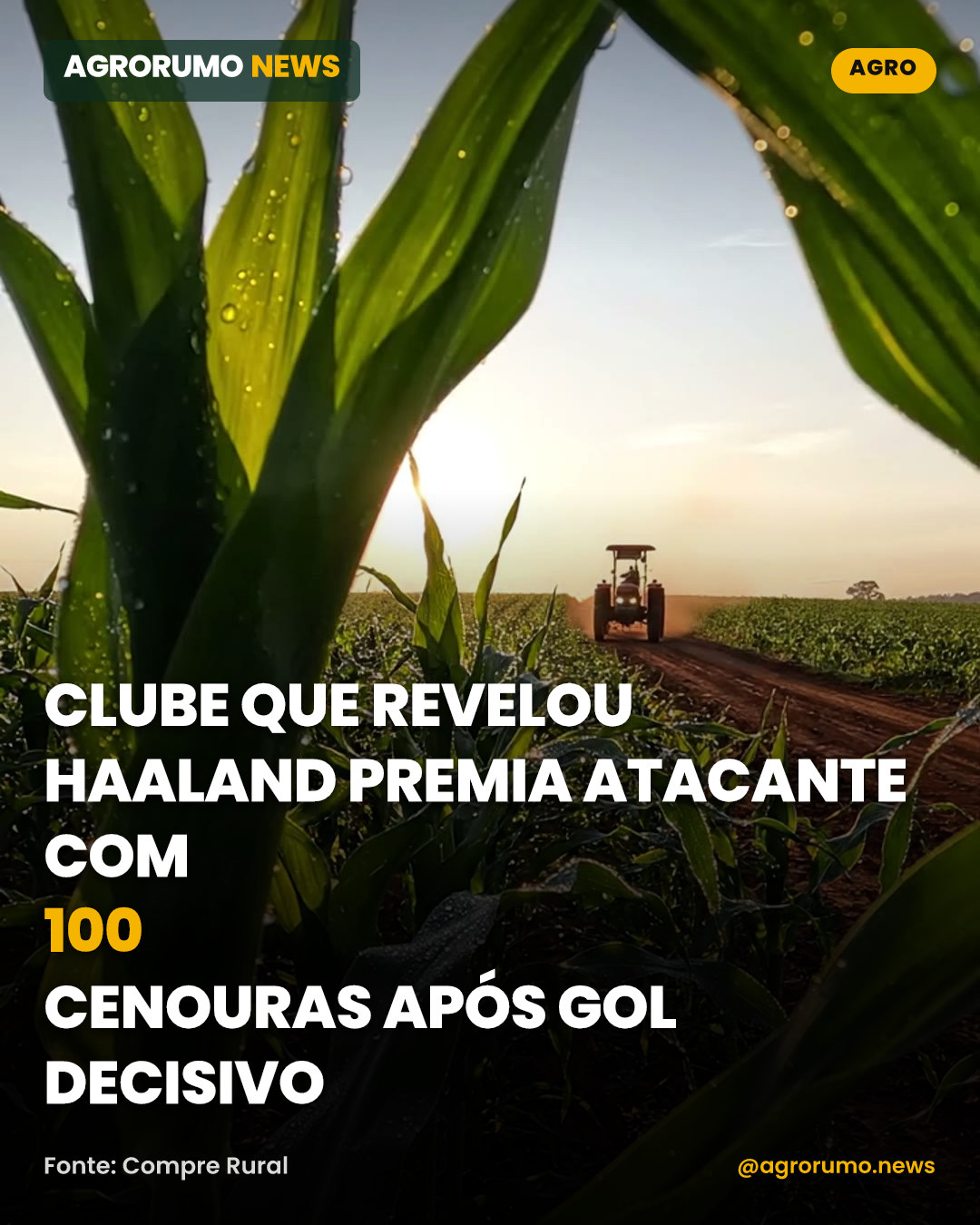 Clube que revelou Haaland premia atacante com 100 cenouras após gol decisivo