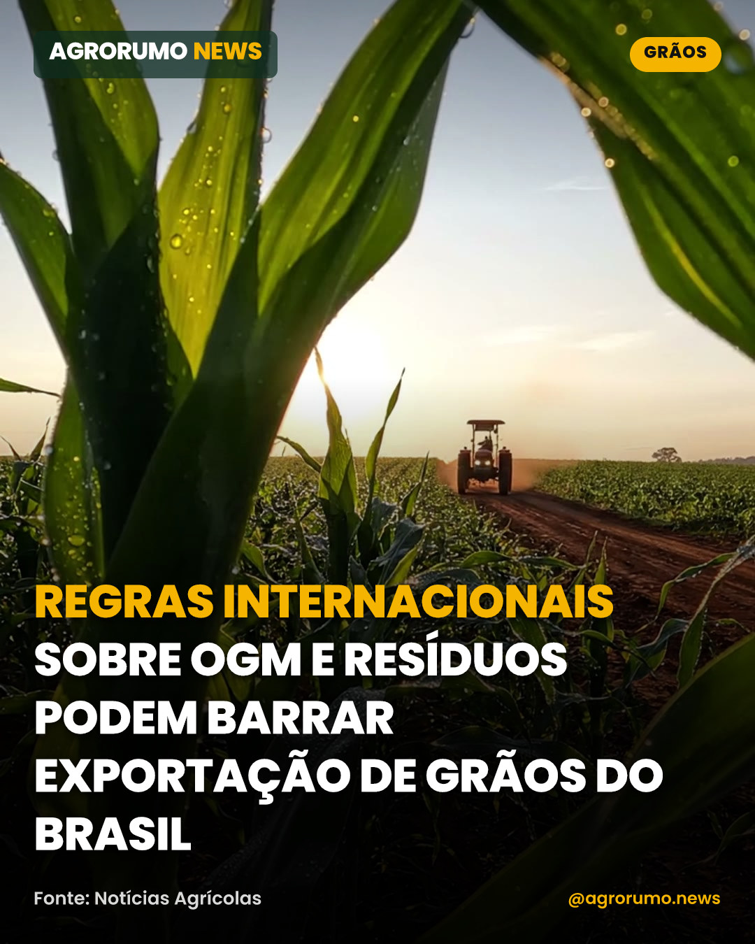 Regras internacionais sobre OGM e resíduos podem barrar exportação de grãos do Brasil