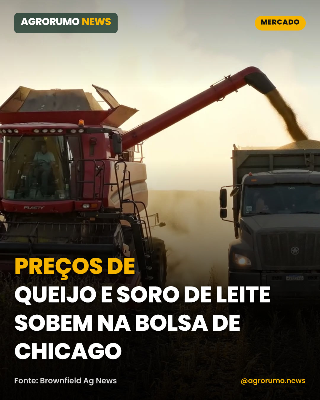 Preços de queijo e soro de leite sobem na bolsa de Chicago