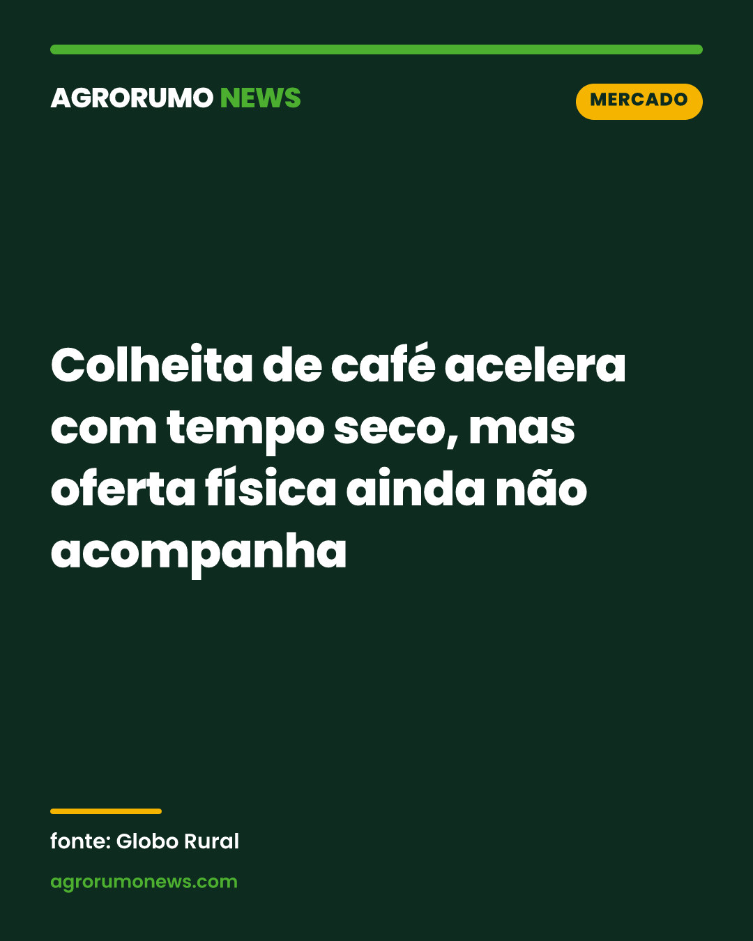 Colheita de café acelera com tempo seco, mas oferta física ainda não acompanha