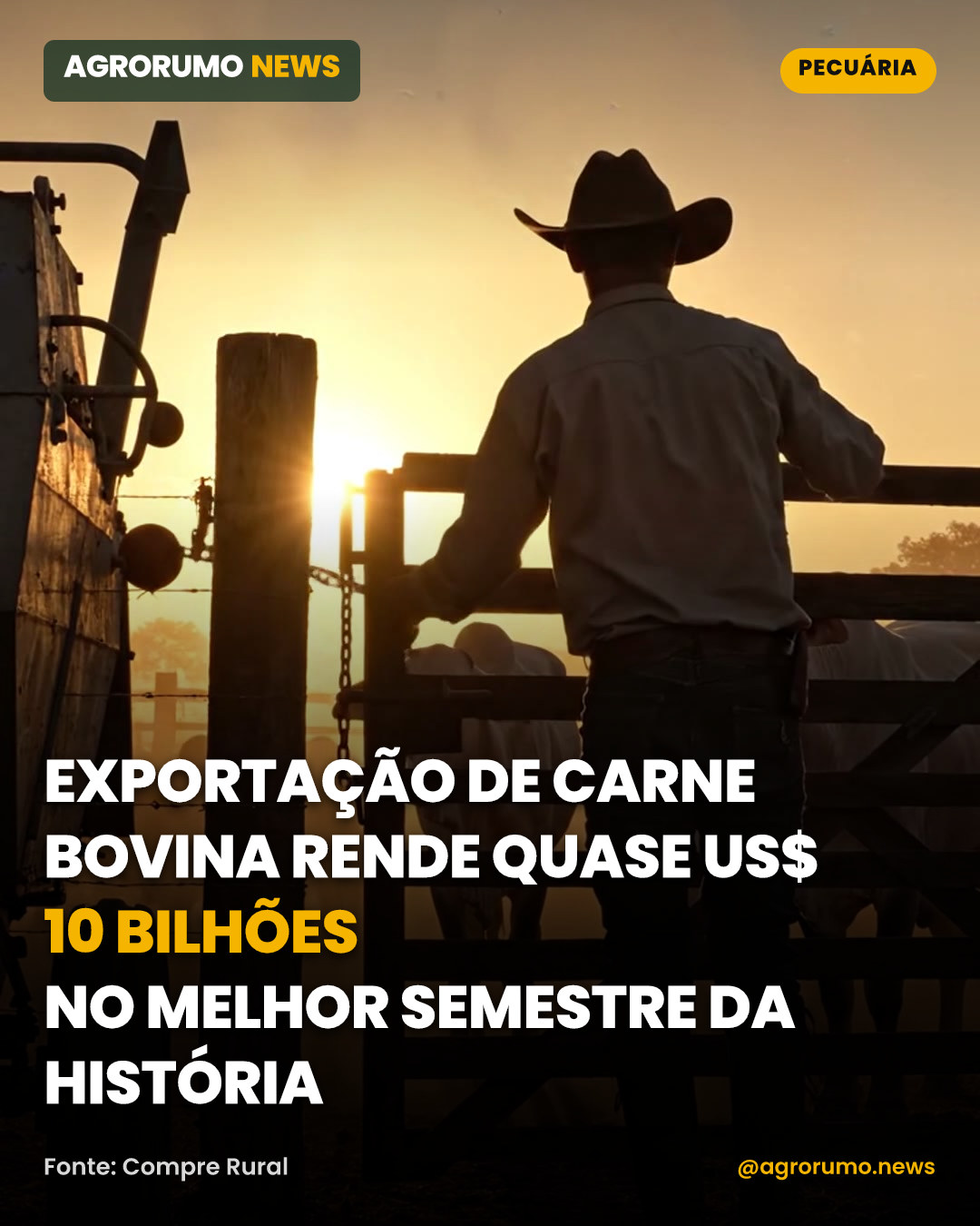 Exportação de carne bovina rende quase US$ 10 bilhões no melhor semestre da história